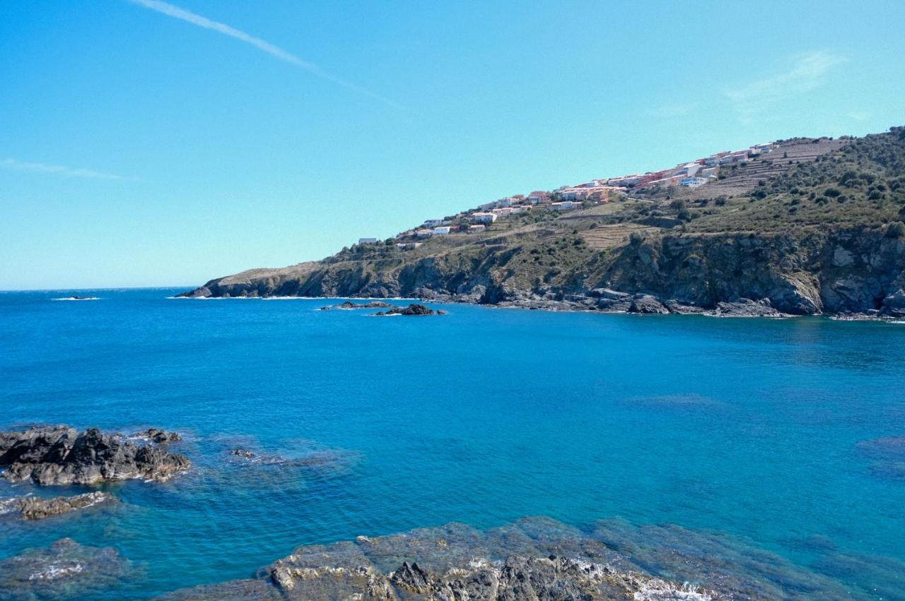 F3 En Bord De Mer Avec Piscine Cerbere Bagian luar foto